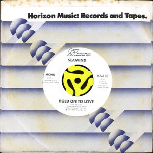 画像3: SEAWIND / HOLD ON TO LOVE (45's) (WHITE PROMO) (3)