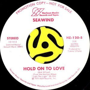 画像2: SEAWIND / HOLD ON TO LOVE (45's) (WHITE PROMO) (2)