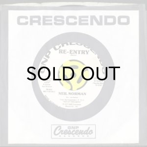 画像3: NEIL NORMAN / RE-ENTRY (45's) (WHITE PROMO) (3)