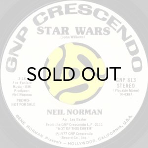 画像2: NEIL NORMAN / RE-ENTRY (45's) (WHITE PROMO) (2)