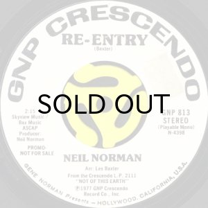 画像1: NEIL NORMAN / RE-ENTRY (45's) (WHITE PROMO) (1)