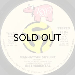 画像2: DAVID SHIRE / SALSATION (45's) (2)