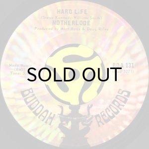 画像2: MOTHERLODE / WHEN I DIE (45's) (VINYL PRESS) (2)