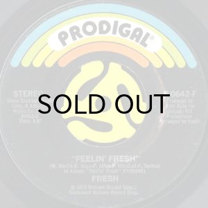 画像2: FRESH / SUMMERTIME b/w FEELIN' FRESH (45's) (2)