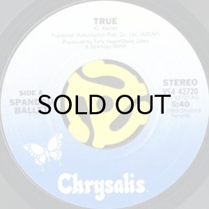 画像3: SPANDAU BALLET / TRUE (45's) (PICTURE SLEEVE) (3)