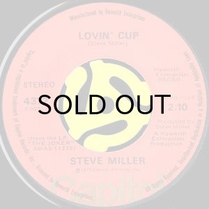 画像2: STEVE MILLER BAND / FLY LIKE AN EAGLE (45's) (2)