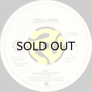 画像3: DONALD FAGEN / I.G.Y. (45's) (PICTURE SLEEVE) (3)