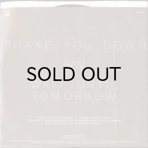 画像2: GREGORY ABBOTT / SHAKE YOU DOWN (45's) (PICTURE SLEEVE) (2)