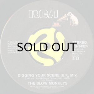 画像1: THE BLOW MONKEYS / DIGGING YOUR SCENE (45's) (VINYL PRESS) (1)