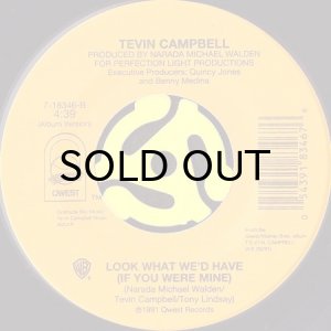 画像2: TEVIN CAMPBELL / CAN WE TALK (45's) (2)