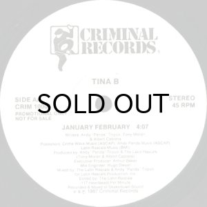 画像2: TINA B / JANUARY FEBRUARY (45's) (WHITE PROMO) (2)
