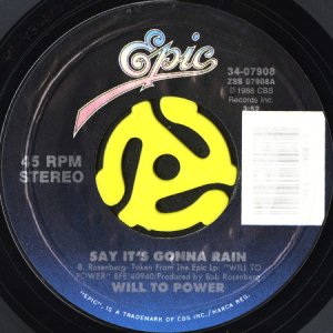 画像1: WILL TO POWER / SAY IT'S GONNA RAIN (45's) (1)