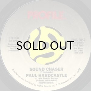 画像2: PAUL HARDCASTLE / RAIN FOREST (45's) (2)