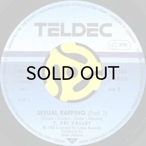 画像3: T. SKI VALLEY / SEXUAL RAPPING (45's) (3)