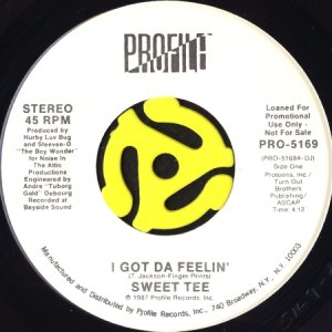 画像1: SWEET TEE / I GOT DA FEELIN' b/w IT'S LIKE THAT Y'ALL (45's) (WHITE PROMO) (1)