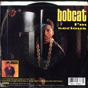 画像2: BOBCAT / I'M SERIOUS (45's) (PICTURE SLEEVE) (2)