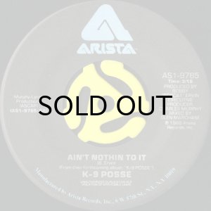 画像3: K-9 POSSE / AIN'T NOTHIN TO IT b/w NO SELL OUT (45's) (PICTURE SLEEVE) (3)