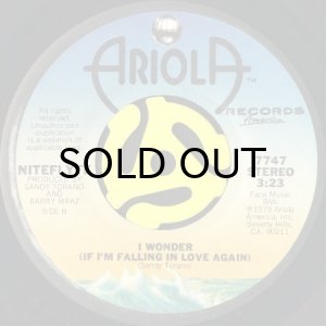 Niteflyte｜If You Want It (7)｜レコード通販｜vivrantdiscstore