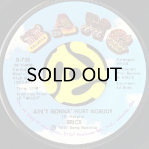 画像1: BRICK / AIN'T GONNA HURT NOBODY (45's) (1)