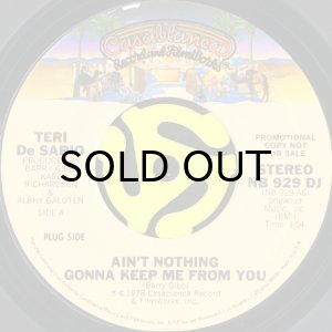画像2: TERI DE SARIO / AIN'T NOTHING GONNA KEEP ME FROM YOU (45's) (PROMO) (2)