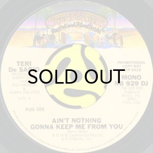 画像1: TERI DE SARIO / AIN'T NOTHING GONNA KEEP ME FROM YOU (45's) (PROMO) (1)