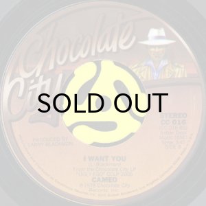 画像2: CAMEO / INSANE b/w I WANT YOU (45's) (2)