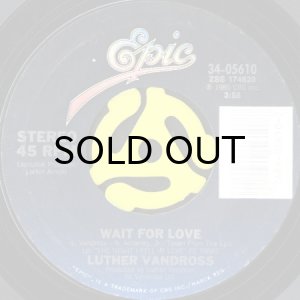 画像2: LUTHER VANDROSS / MY SENSITIVITY (GETS IN THE WAY) (45's) (2)