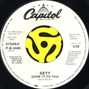 画像2: SKYY / GIVIN' IT (TO YOU) (45's) (WHITE PROMO) (2)