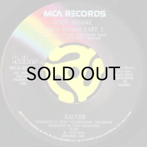 画像1: KALYAN / DISCO REGGAE (TONY'S GROOVE) (45's) (1)