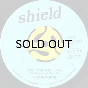 画像2: HOKIS POKIS / NOWHERE b/w CAN'T WAIT FOR LOVE (45's) (2)