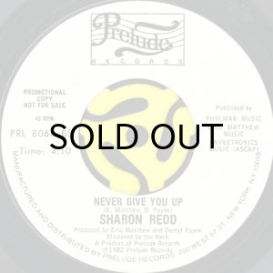 画像1: SHARON REDD / NEVER GIVE YOU UP (45's) (WHITE PROMO) (1)