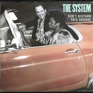 画像1: THE SYSTEM / DON'T DISTURB THIS GROOVE (45's) (PICTURE SLEEVE) (1)