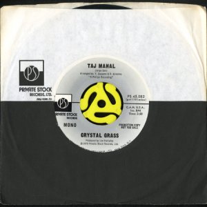 画像3: CRYSTAL GRASS / TAJ MAHAL (45's) (PROMO) (3)