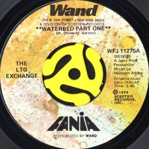 画像1: THE LTG EXCHANGE / WATERBED (45's) (1)
