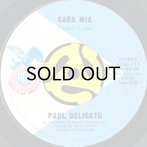 画像1: PAUL DELICATO / CARA MIA (45's) (1)