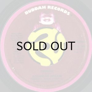 画像3: AQUARIAN DREAM / PHOENIX b/w LOOK AHEAD (45's) (PICTURE SLEEVE) (3)