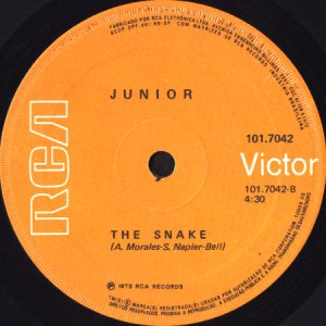 画像3: JUNIOR / THE SNAKE (45's) (BRA) (3)