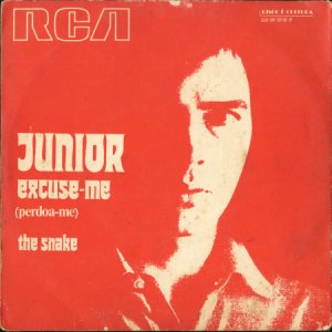 画像2: JUNIOR / THE SNAKE (45's) (BRA) (2)