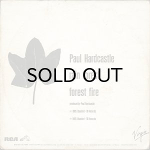 画像2: PAUL HARDCASTLE / RAIN FOREST b/w FOREST FIRE (45's) (BRA) (2)