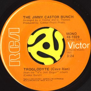 画像1: THE JIMMY CASTOR BUNCH / TROGLODYTE (CAVE MAN) b/w I PROMISE TO REMEMBER (45's) (1)