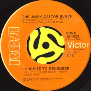 画像2: THE JIMMY CASTOR BUNCH / TROGLODYTE (CAVE MAN) b/w I PROMISE TO REMEMBER (45's) (2)
