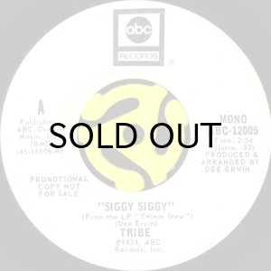 画像1: TRIBE / SIGGY SIGGY (45's) (WHITE PROMO) (1)