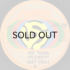 画像2: EDDY SENAY / AIN'T NO SUNSHINE (45's) (2)