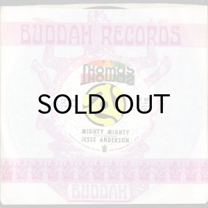 画像3: JESSE ANDERSON / MIGHTY MIGHTY (45's) (3)