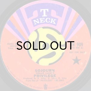 画像2: PRIVILEGE / PURPLE DOG (45's) (2)