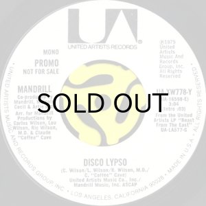 画像1: MANDRILL / DISCO LYPSO (45's) (WHITE PROMO) (1)