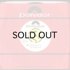 画像3: THE CHAKACHAS / JUNGLE FEVER '75 b/w LIZA (AND BROOK) (45's) (WHITE PROMO) (3)