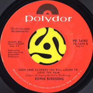 画像2: EDWIN BIRDSONG / RISING SIGN b/w GROW SOME FLOWERS YOU WILL LEARN TO LOVE THE RAIN (45's) (2)