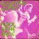 画像1: KOOL & THE GANG / COUNTRY JUNKY (45's) (PICTURE SLEEVE) (1)