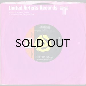 画像3: ELECTRIC INDIAN / APOTCHEE b/w CHICAG-O-HAWK (45's) (3)